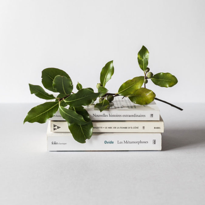 Curso Escalada do Empreendedor – COMPLETO